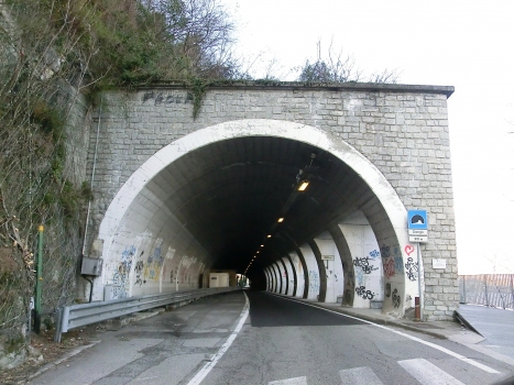 Dongo Tunnel southern portal