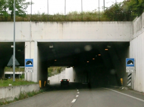 Le Ghiaie Tunnel eastern portals