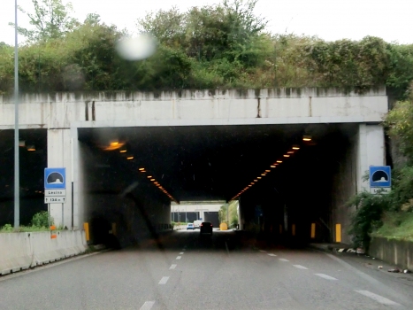 Lesina Tunnel western portals