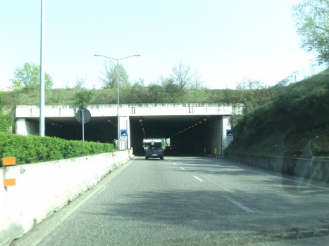 Lesina Tunnel western portals