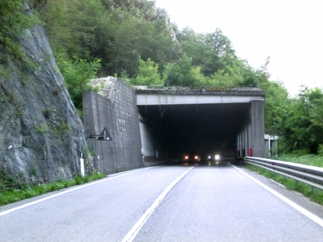 Villa Santina Tunnel northern portal