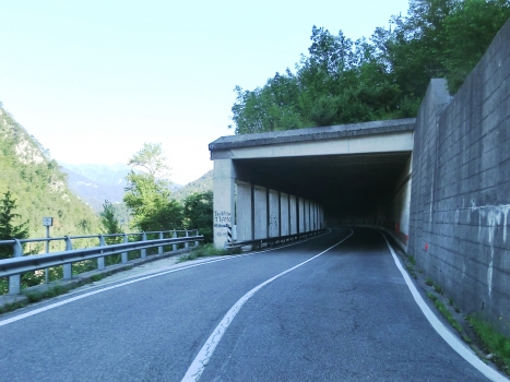 Villa Santina Tunnel southern portal