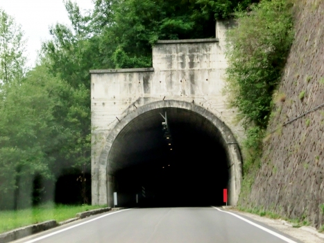 Conoia Tunnel southern portal
