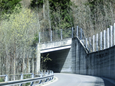 Corti Tunnel southern portal