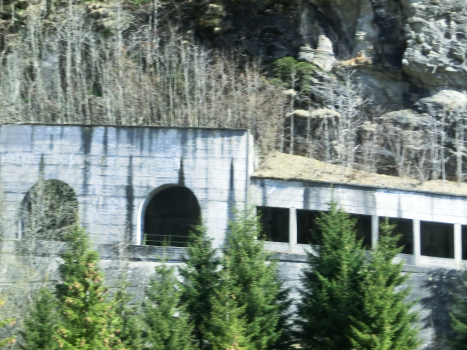 Tunnel Corti