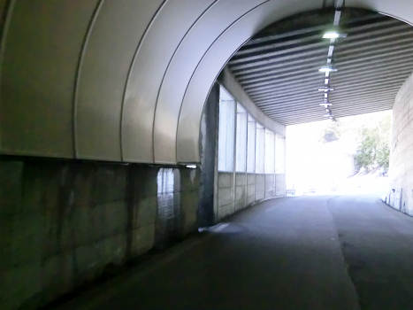 Cresta Tunnel northern portal