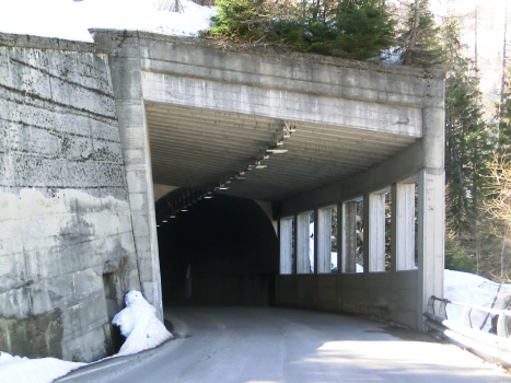 Tunnel de Cresta