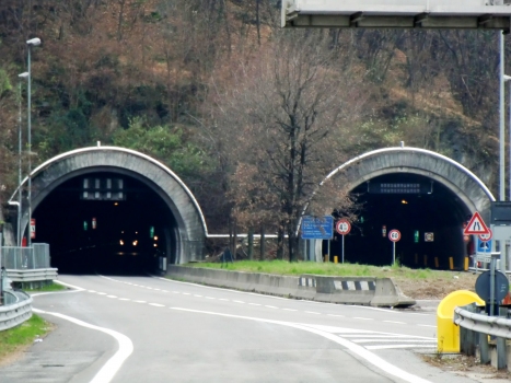 Monte Piazzo Tunnel northern portals