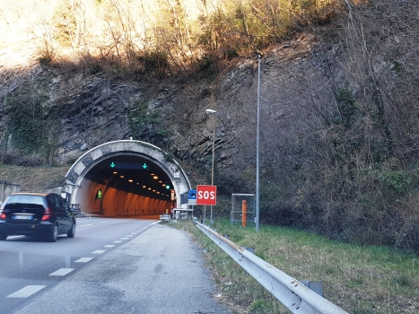 Tunnel de Regoledo