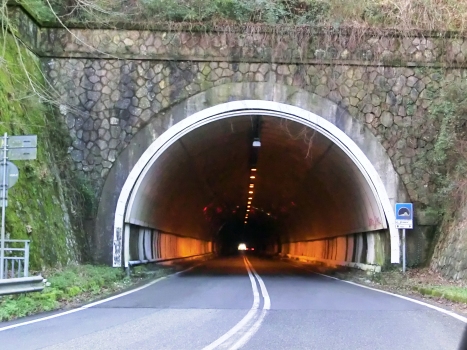 Biassa Tunnel eastern portal