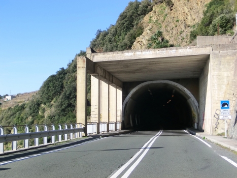 Lemmen Tunnel eastern portal