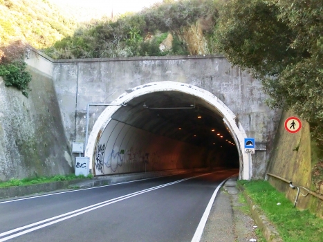 Lemmen Tunnel western portal