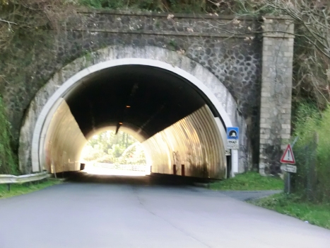 Pineta Tunnel northern portal
