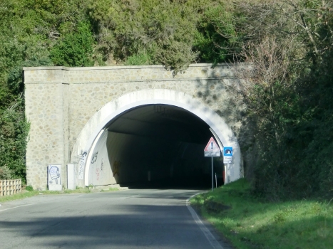 Tunnel Pineta