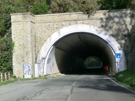 Pineta Tunnel southern portal