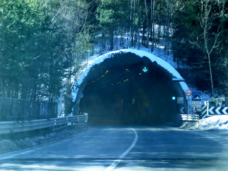 Le Prese Tunnel northern portal