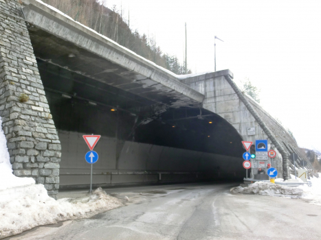 Sant'Antonio-Cepina Tunnel, Cepina junction
