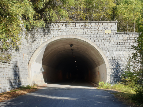 Tunnel de Plaz