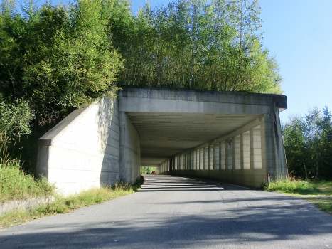 Tunnel de Valle Mala