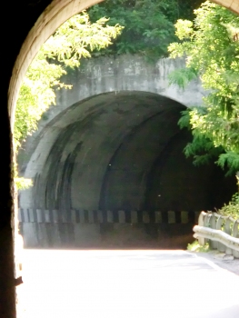 Corna I Tunnel eastern portal from Corna II Tunnel