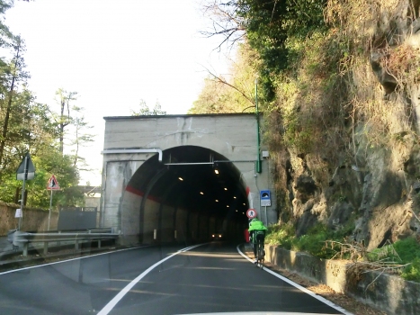 Colmegna North Tunnel southern portal
