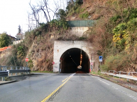 Tunnel Colmegna Süd