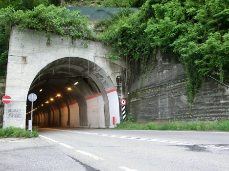 Tunnel de Colmegna Sud