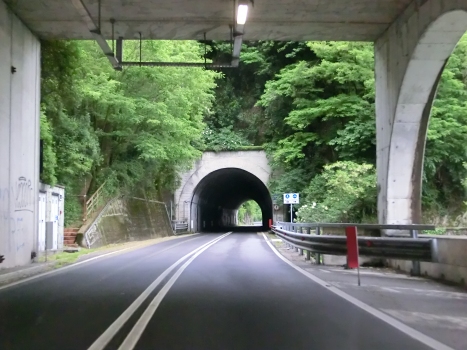 First Maccagno Inferiore Tunnel northern portal