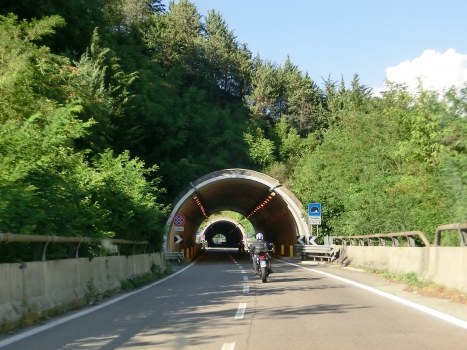 Crocetta Tunnel and, in the back, Sarsina Tunnel southern portals