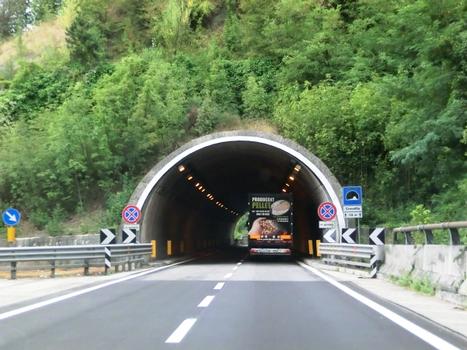 Crocetta Tunnel northern portal