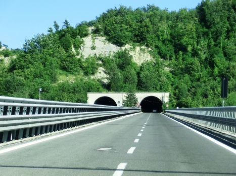 Della Spagnola Tunnel northern portals
