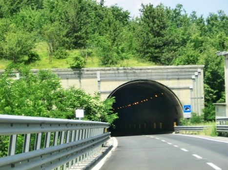 Della Spagnola Tunnel southern portal