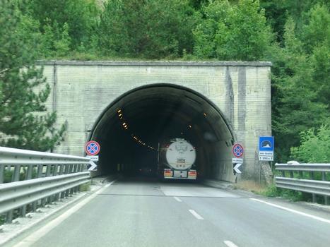Della Spagnola Tunnel northern portal