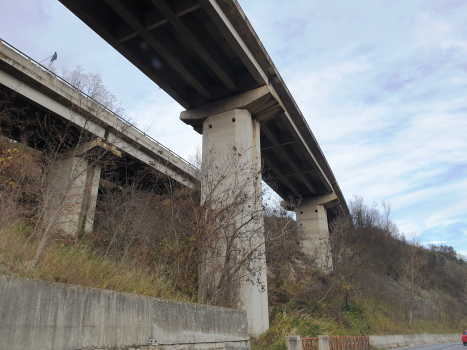 Fossa Viaduct