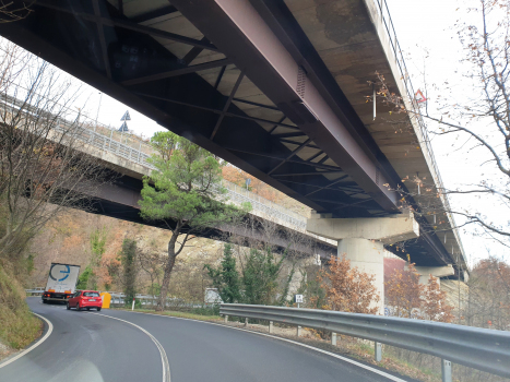 Fosso delle Coste Viaduct