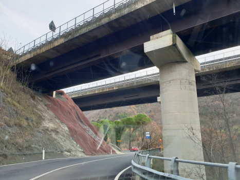 Fosso delle Coste Viaduct
