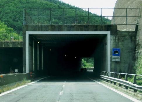 Pozzale tunnel northern portals