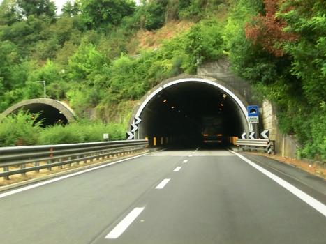 Sarsina Tunnel northern portals