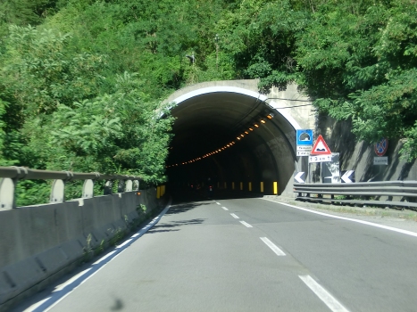 Tavolicci Tunnel western portal