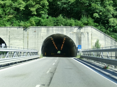 Verghereto Tunnel northern portals