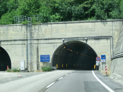 Verghereto Tunnel southern portals