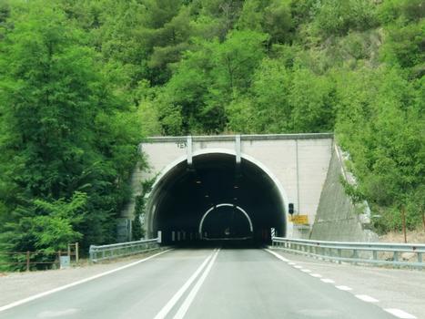 Tunnel de Ponte d'Arli 2