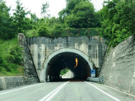 Casalene Tunnel eastern portal