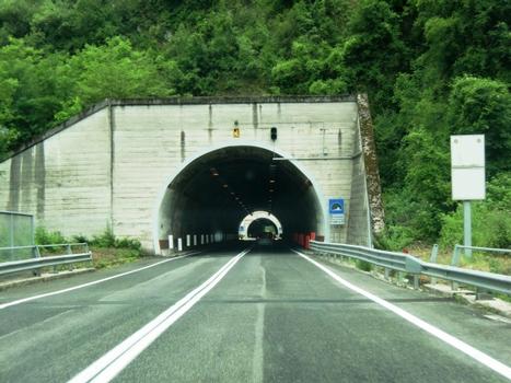 San Giovanni (on front) and Briglione tunnels eastern portals