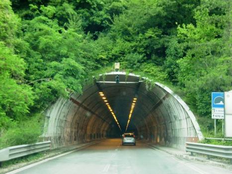 Sant'Antonio Tunnel eastern portal