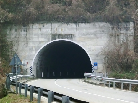 Tunnel Termaina