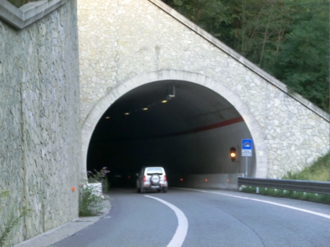 Demo Tunnel northern portal