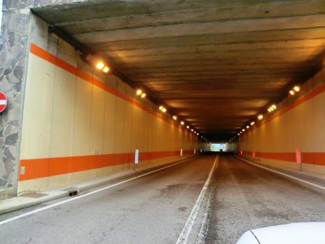 Murel Tunnel