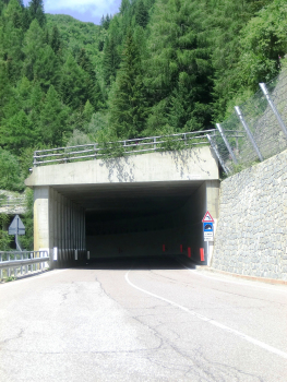 Tunnel Rio Merlo