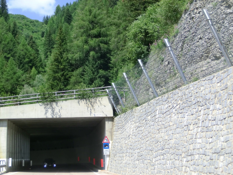 Rio Merlo Tunnel eastern portal